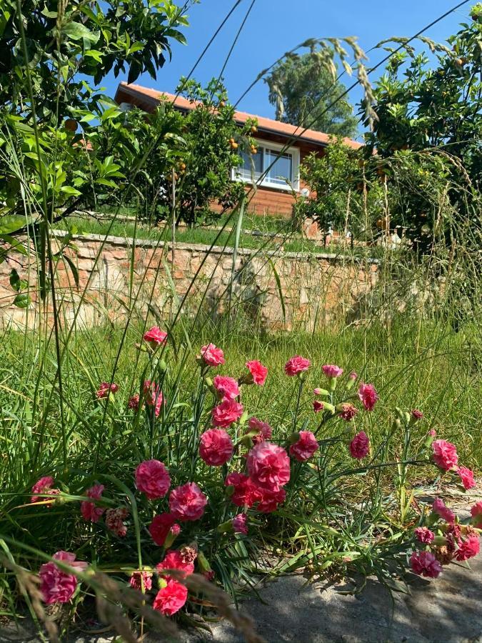 The Mussel House Villa คซามิล ภายนอก รูปภาพ