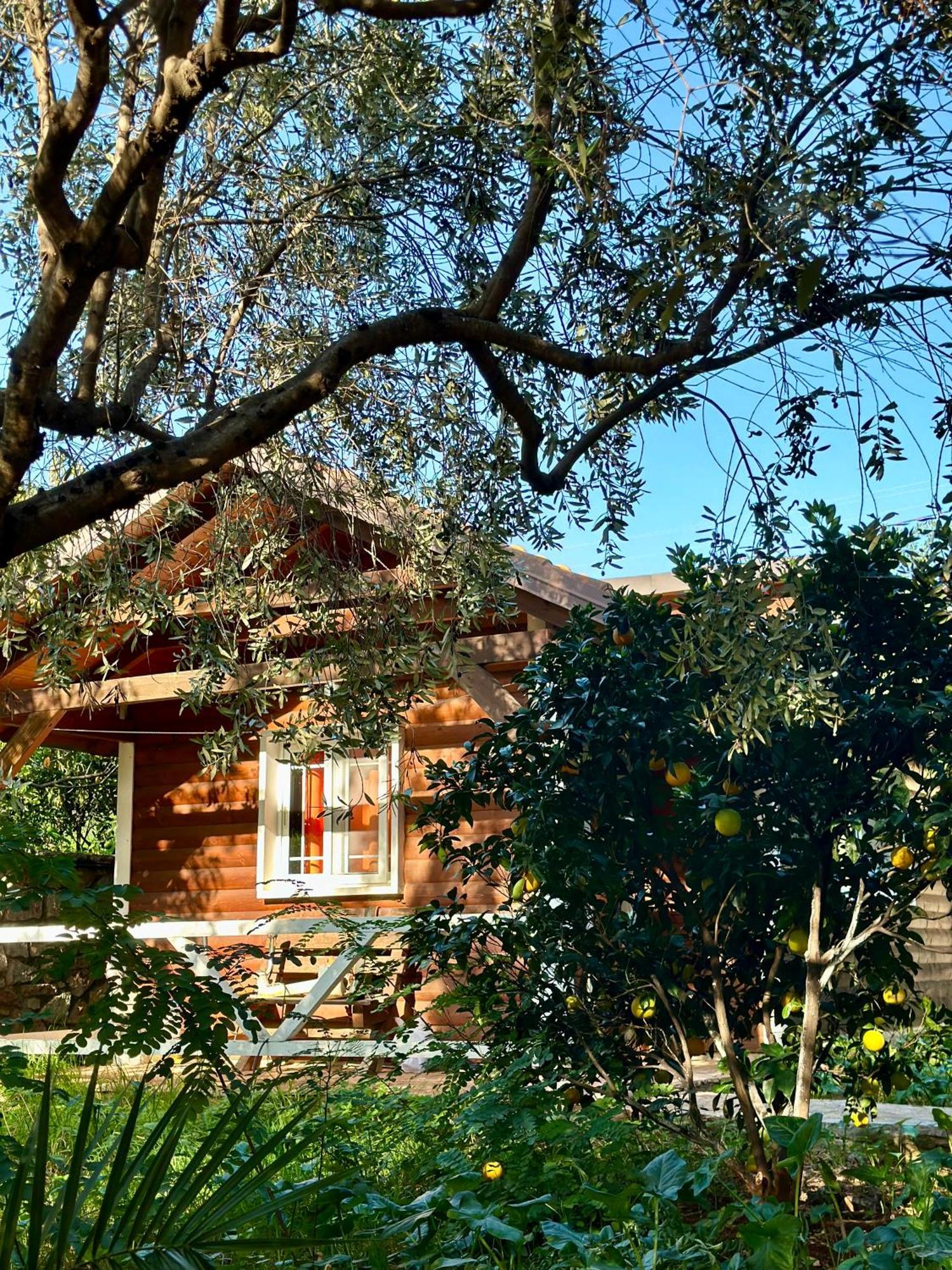 The Mussel House Villa คซามิล ภายนอก รูปภาพ